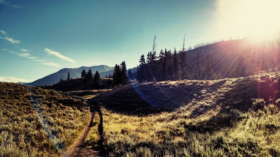 Freedom is an Open&nbsp;Road