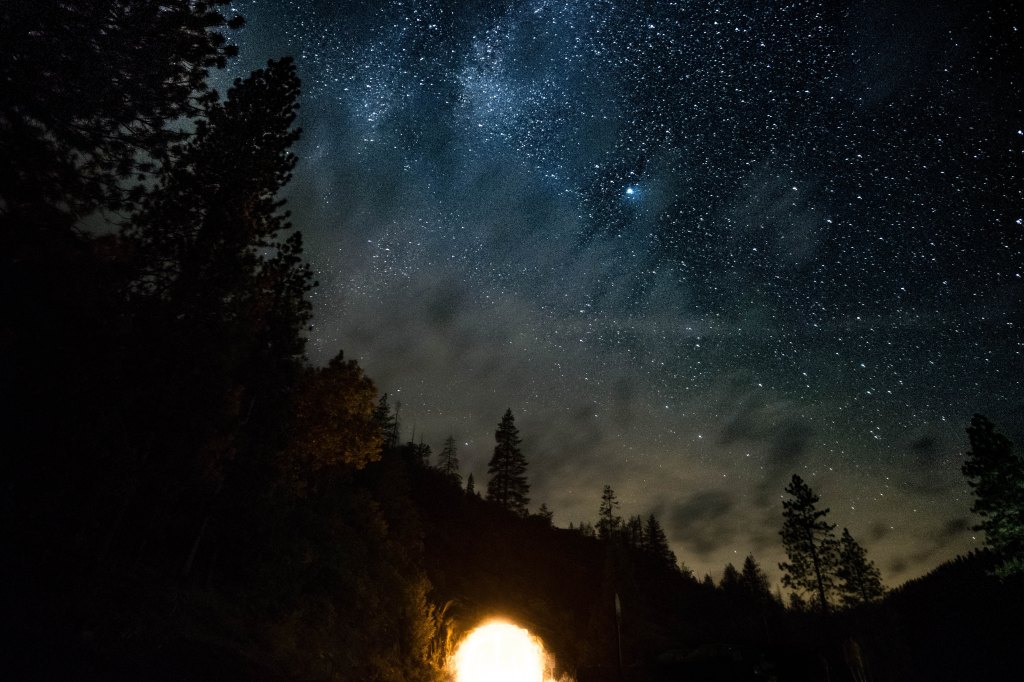 The Mighty Wolverines